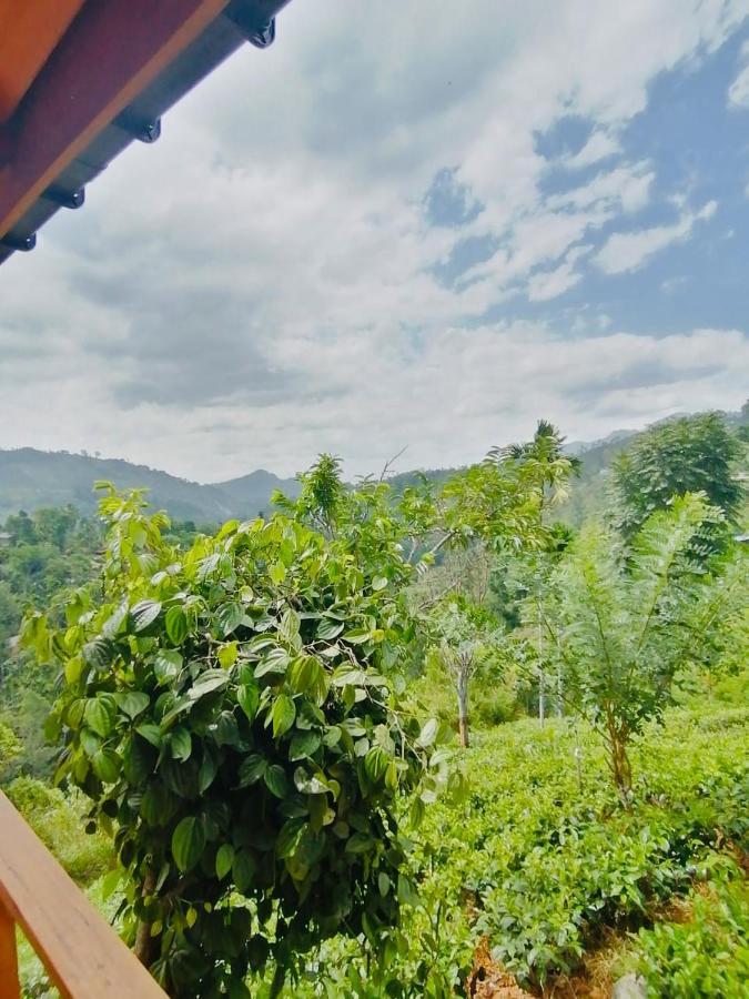 Green Nature Paradise エッラ エクステリア 写真