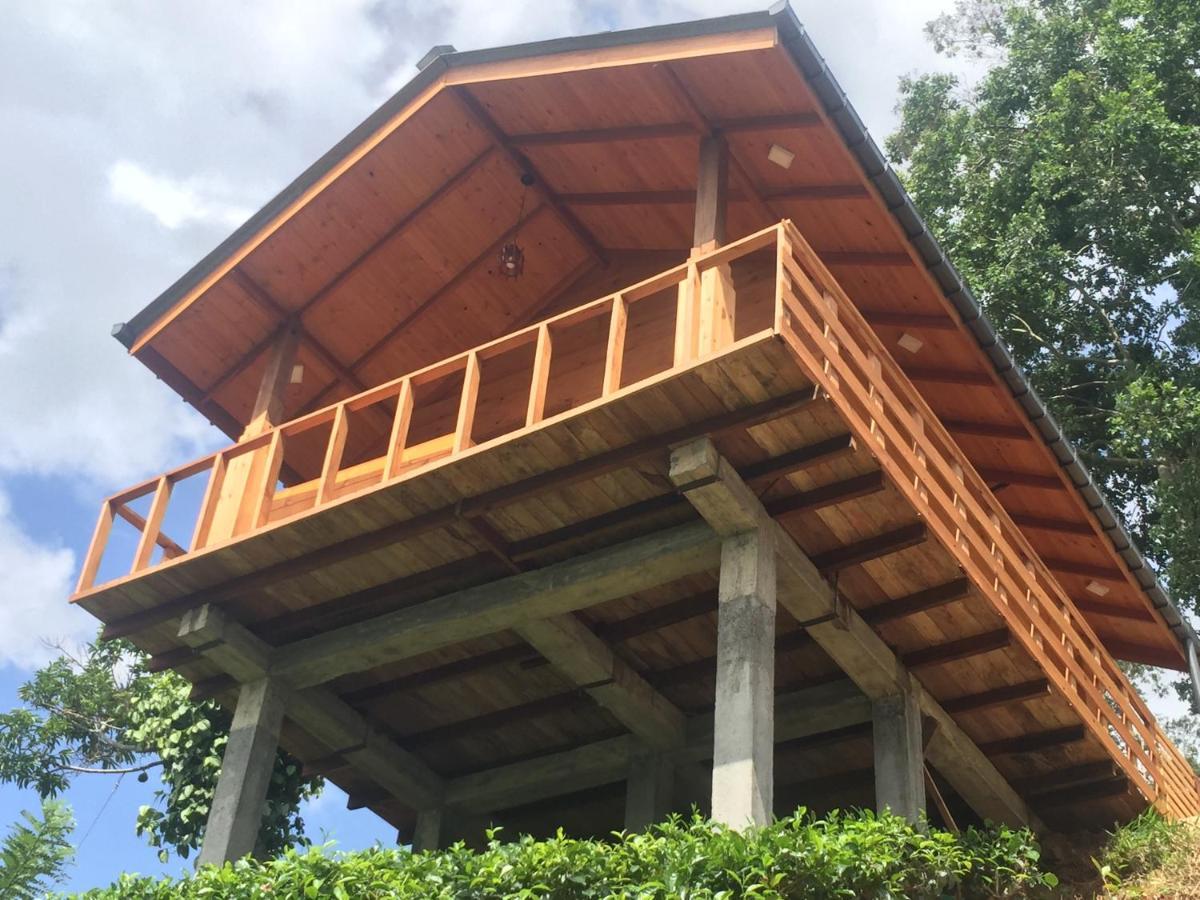 Green Nature Paradise エッラ エクステリア 写真